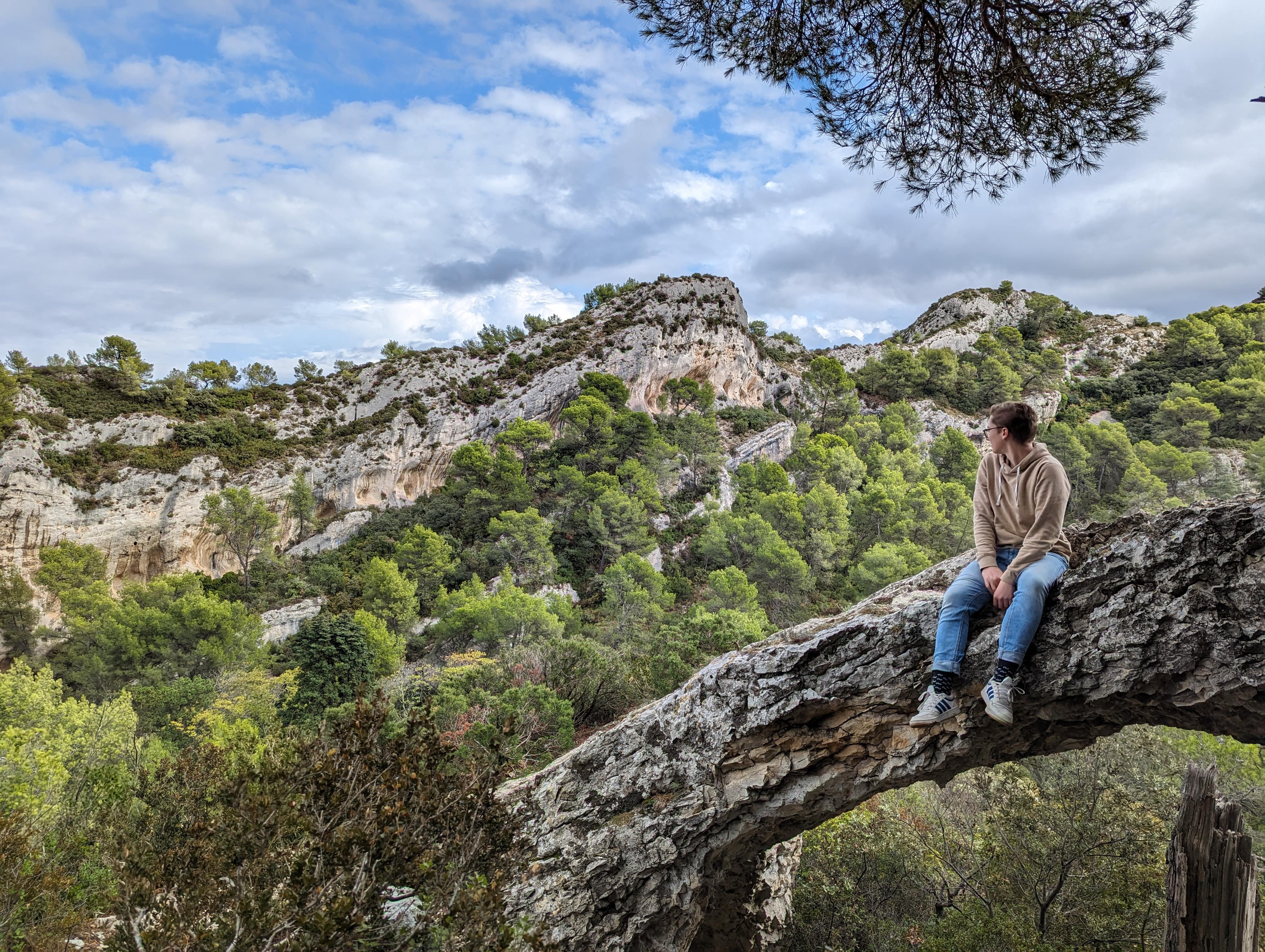 Les Alpilles